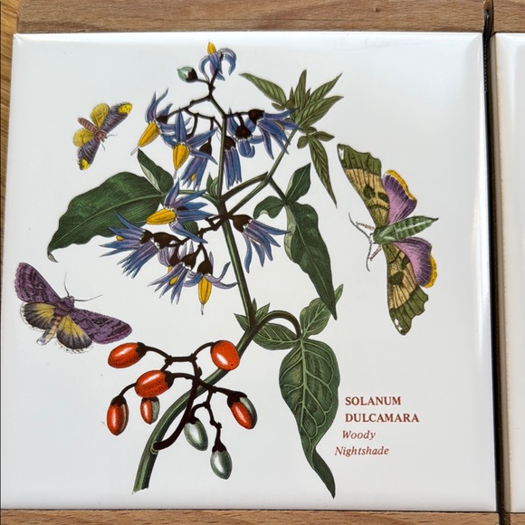 Portmeirion Botanical Cheese Board with Knife - Picture 5 of 5